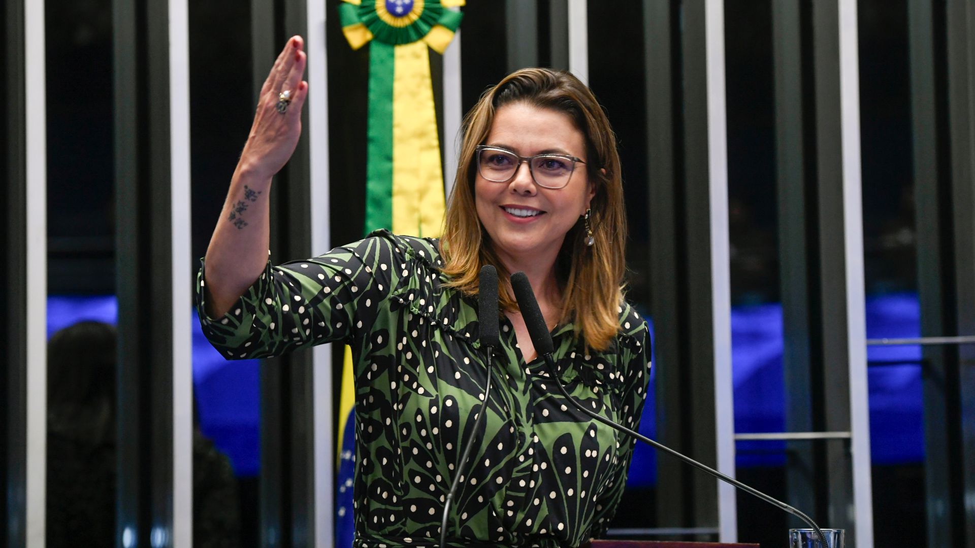 Senadora Leila Barros, Senado, Marco Legal dos Games