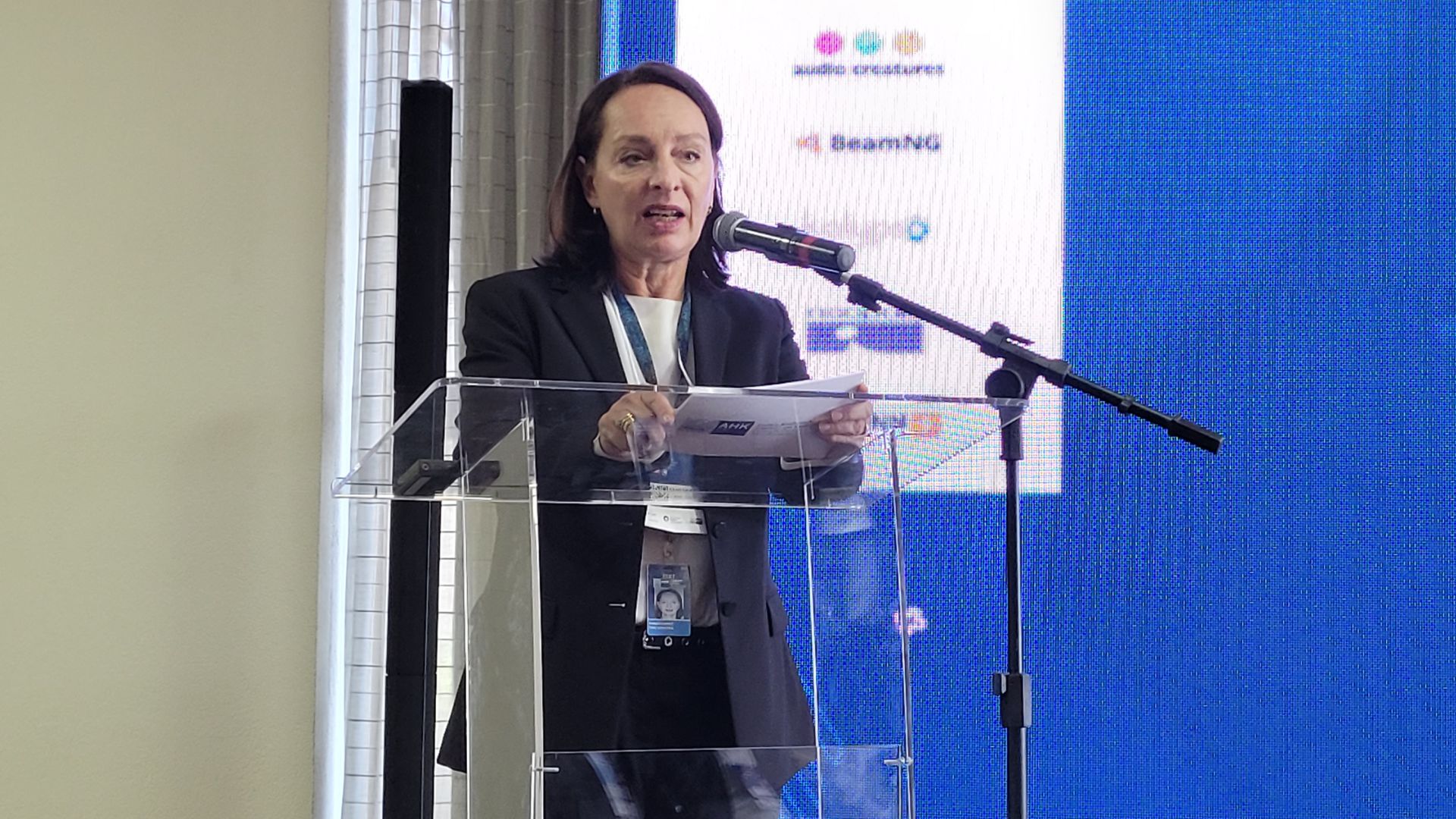 Barbara Konner, VP da Câmara Brasil Alemanha de São Paulo, durante a conferência. Foto: TGE