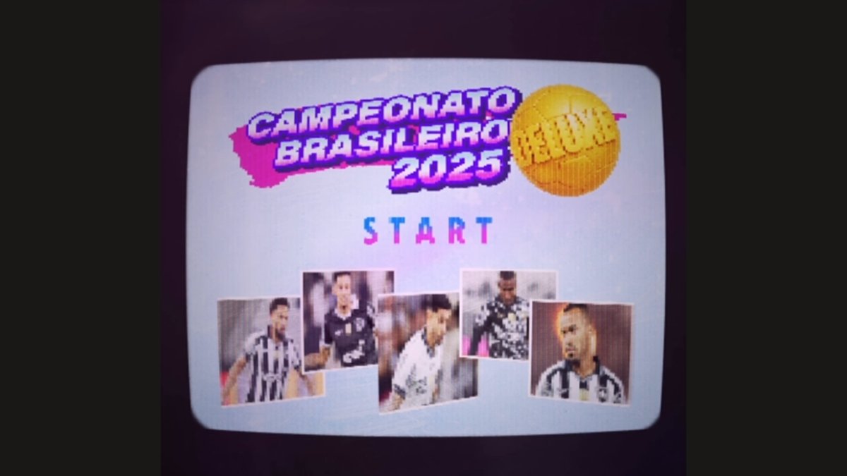 botafogo. futebol, campeonato brasileiro